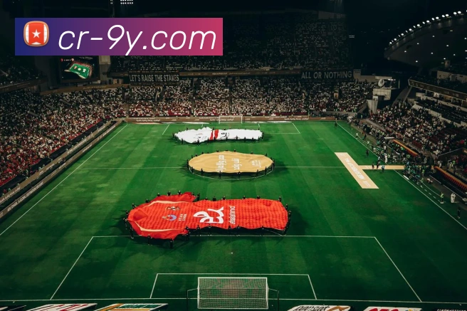 多媒体互动体验